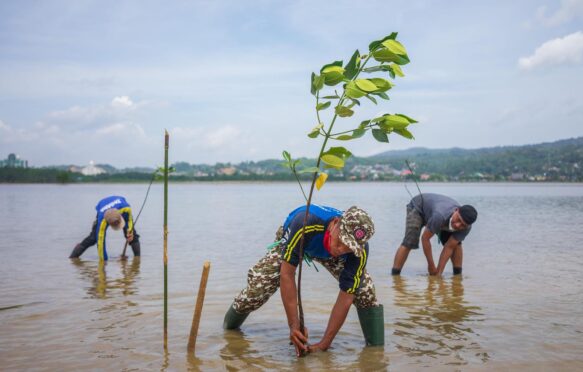 Men plant mangrove seedlings in Kendari, Indonesia on 18 February 2021. Credit: Alamy Stock Photo