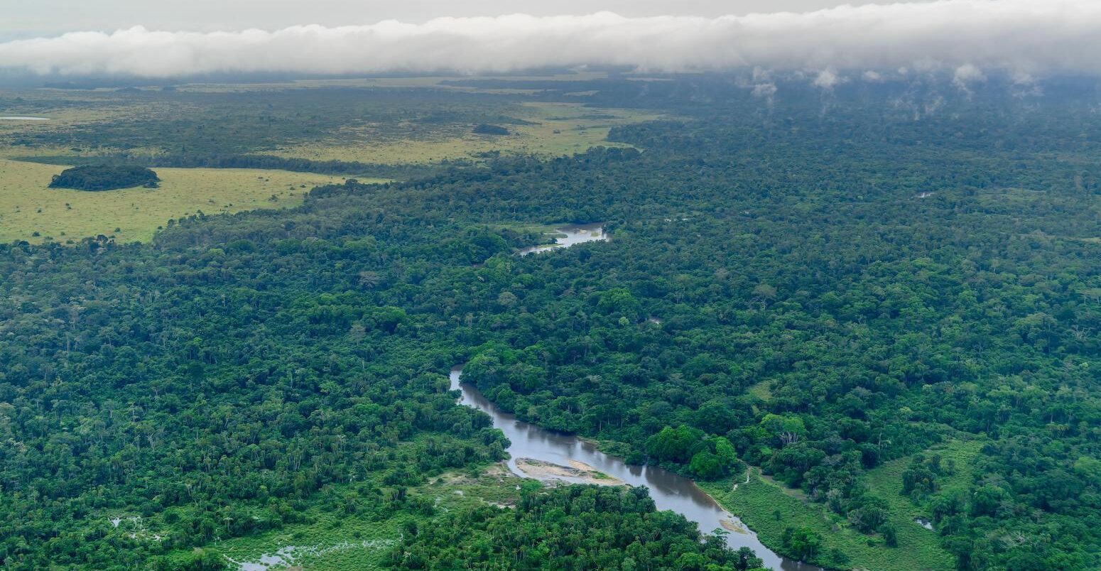 Aerial view of Odzala-Kokoua National Park in the Republic of the Congo.