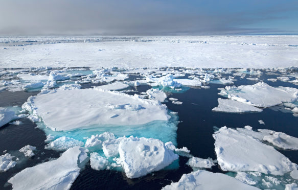 Ice floes near Svalbard, Norway. Credit: Naturfoto-Online / Alamy Stock Photo.