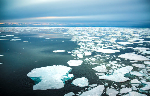 Arctic sea ice. Credit: Rowan Romeyn / Alamy Stock Photo. F7AKDM