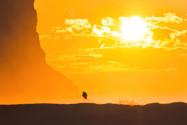 Sunrise over cliffs off Garie Beach in Royal National park, Australia. Credit: Taras Vyshnya / Alamy Stock Photo. JJBFMF