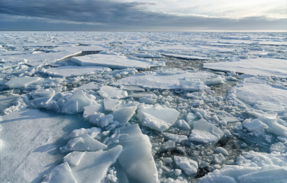 Broken pieces of Arctic sea ice north of Svalbard