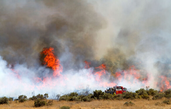 Wildfire near Boise, Idaho, in 2011.