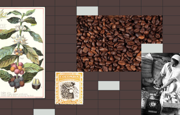 Commodity Profile: Coffee Hero Montage