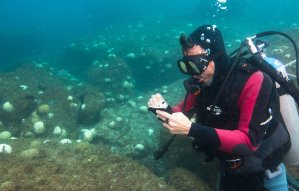 F560N5 scientific diver taking notes during coral bleaching event at Alcatrazes island, Sao Paulo state shore, Brazil.