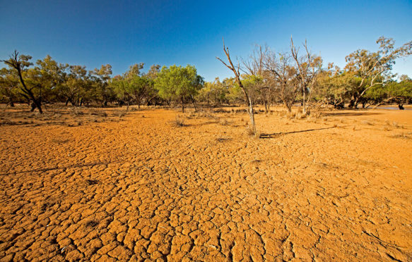 Drought in Currawinya National Park, Queensland, Australia. Credit: Outback Australia / Alamy Stock Photo.F550K1