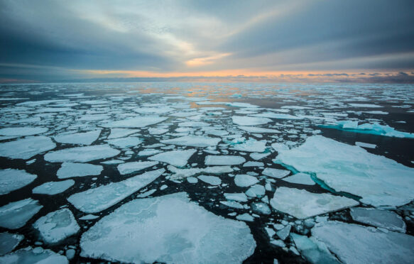 Sunrise over sea ice