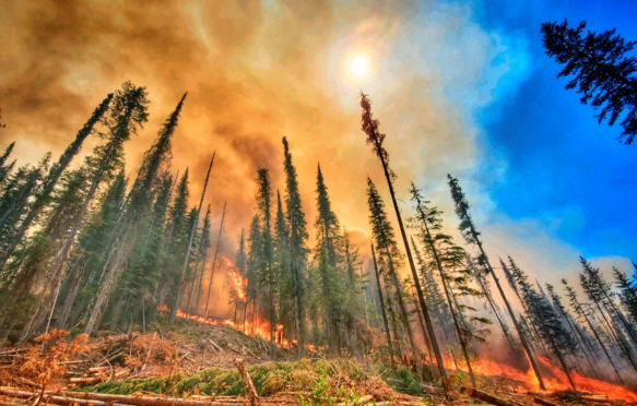 A wildfire burns through forests at the Summit Trail Fire in the Colville Reservation, Washington