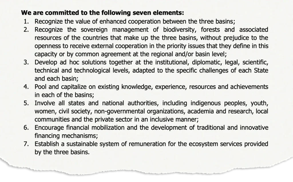 Seven commitments outlined in the declaration from the second summit of the Three Basins.